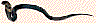 cobra9.jpg